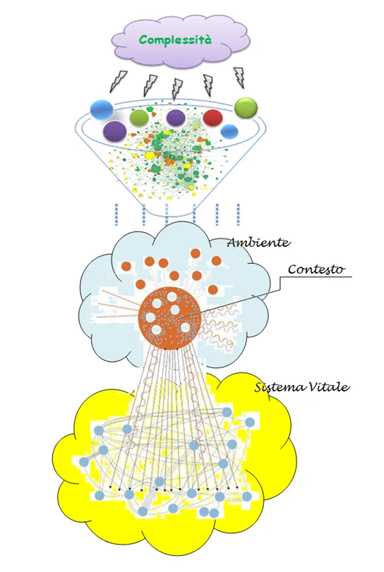 Evoluzione-sistemica.-Fonte_Barile-S.-2010.webp