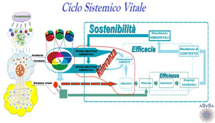 Il-Ciclo-Sistemico-Vitale.-Fonte_Barile-S.-Saviano-M.-Polese-F.-Di-Nauta-P.-2012.webp